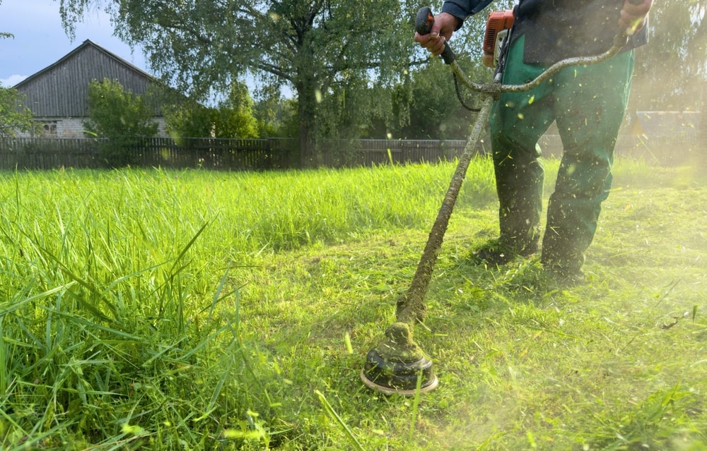 Quick Fixes for Summer Pest-Proofing Your Home - handyman new orleans - one man and a tool box