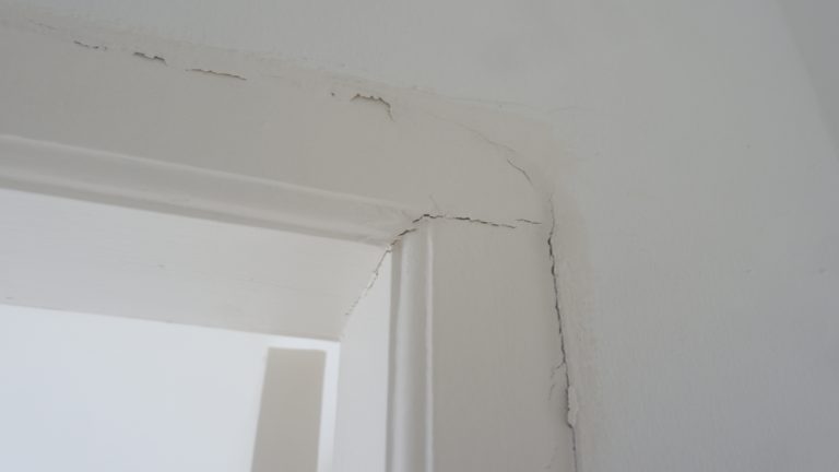How to Protect Your Doors and Windows During Hurricane Season - handyman in new orleans