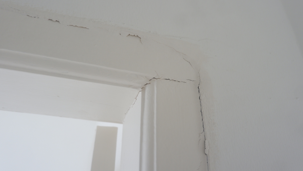 How to Protect Your Doors and Windows During Hurricane Season - handyman in new orleans